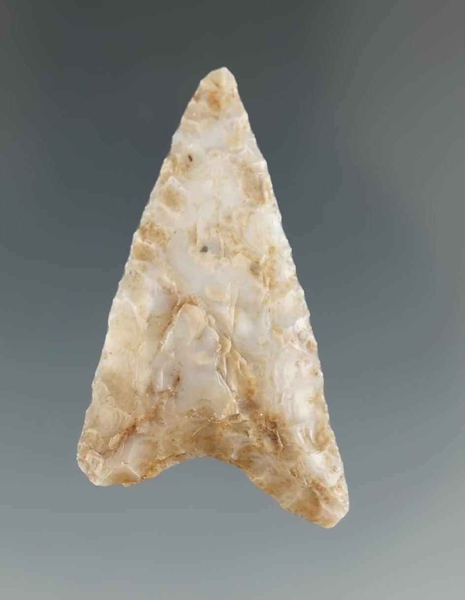 1 13/16" Columbia Mule Ear made from nice material found near the Columbia River. Ex. Jim Hogue