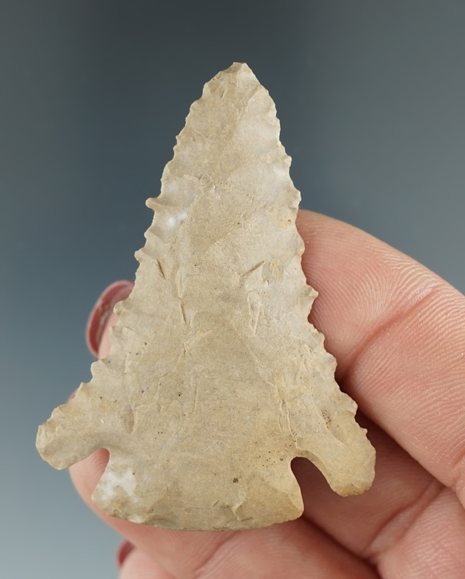 Excellent style, flaking and serrations on this 2 1/16" Pine Tree found in Kentucky.