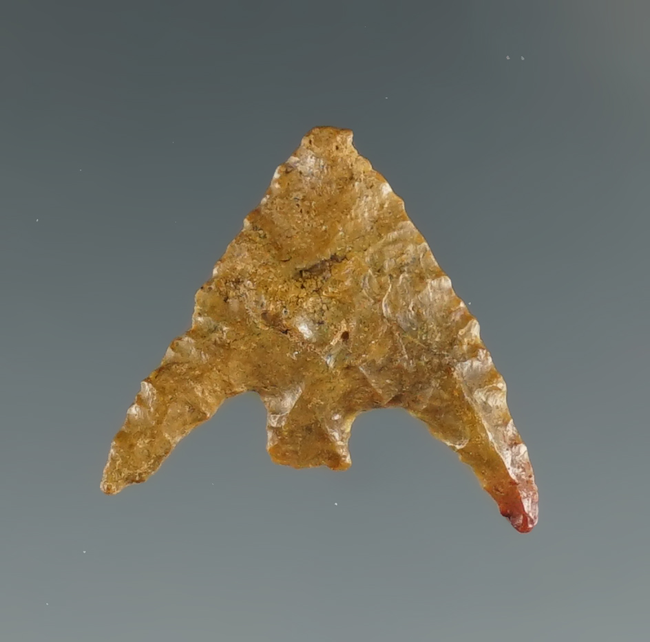 Ex. Museum! 3/4" Gunther made from attractive well patinated brown Jasper found in Oregon.