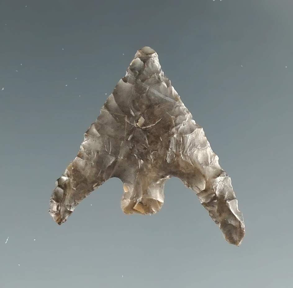 Ex. Museum! 7/8" well styled Gunther point made from nicely patinated grey Flint found in Oregon.