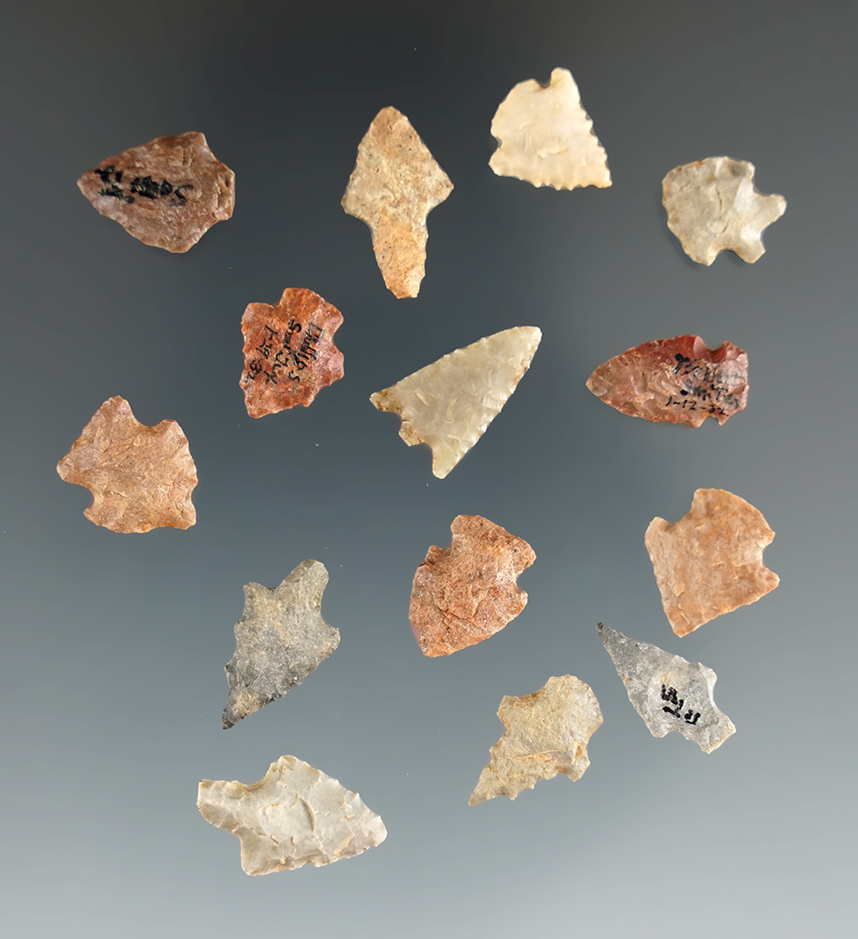 Set of 14 small bird points found in East Texas, largest is 11/16".