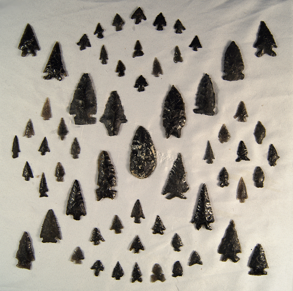 Set of approximately 60 Obsidian arrowheads - Fort Rock Oregon glued to styrofoam backing.