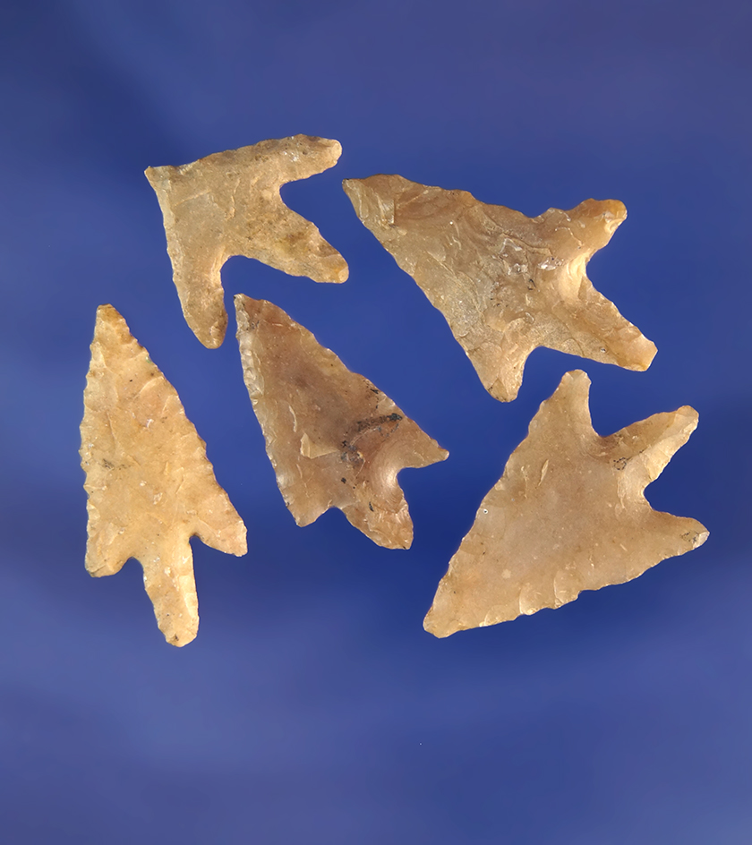 Set of five assorted Western arrowheads.