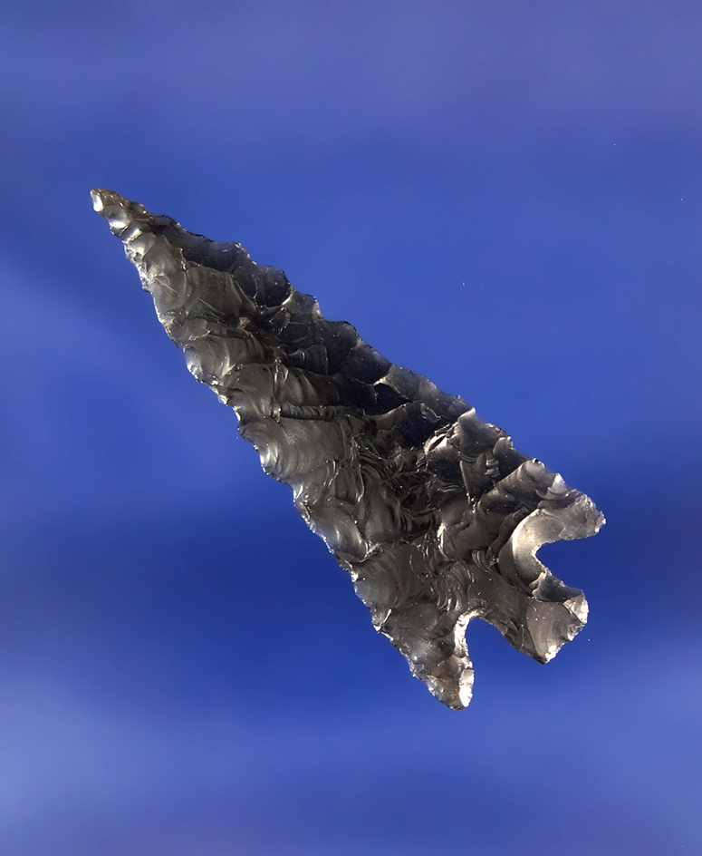 1 1/2" Rose Springs that is very nice in every respect. Found near Fort Rock Oregon.