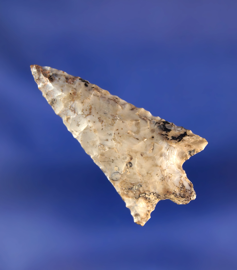 1 9/16" Rabbit Island - well flaked from nicely mottled material found near the Columbia River.