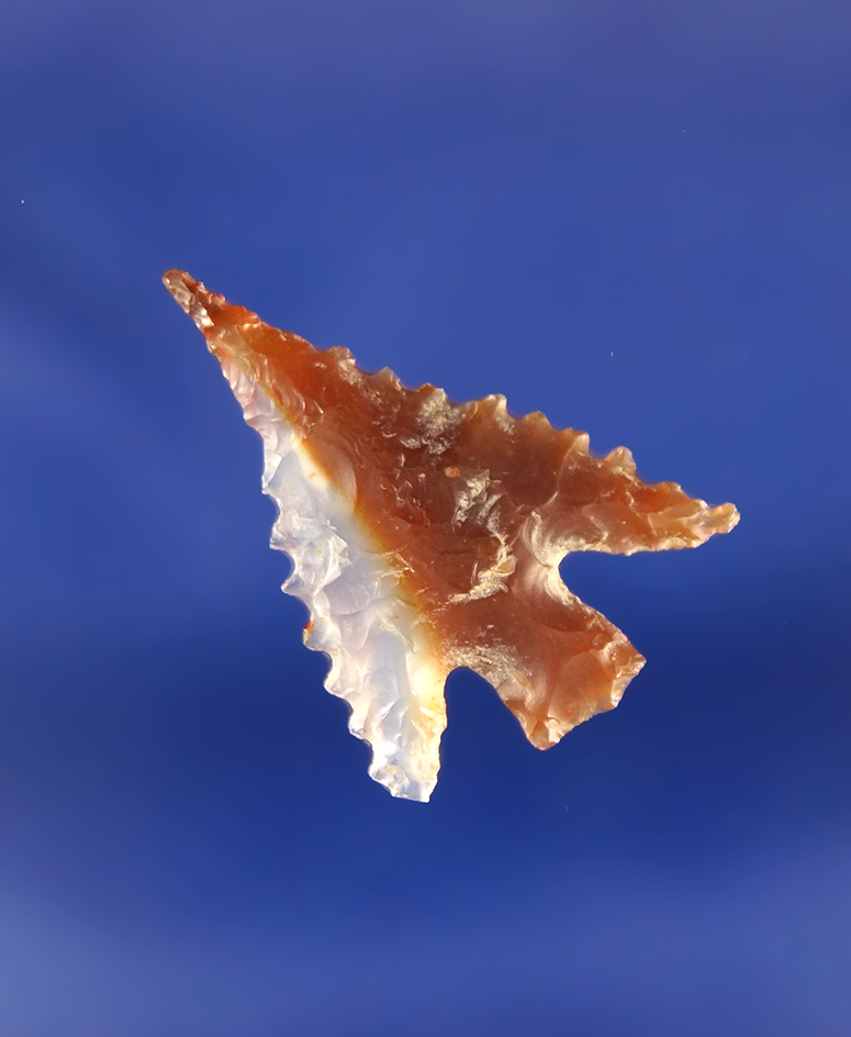 Excellent serrations on this 1 1/16" pink and clear agate Columbia Plateau with a needle tip.