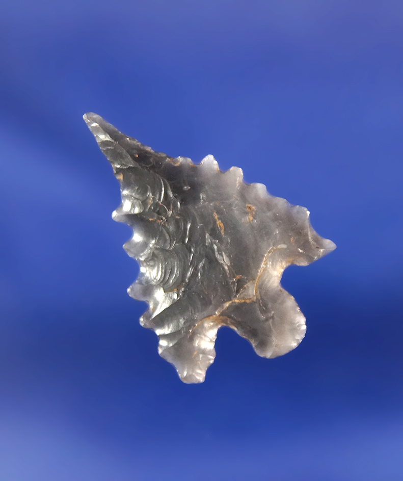 1" beautifully serrated Calapooya made from Obsidian found near Junction City, Oregon.