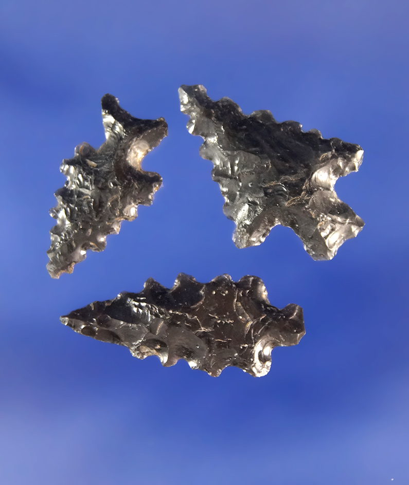 Set of three highly serrated Obsidian arrowheads found in southern Oregon. Largest is 7/8".