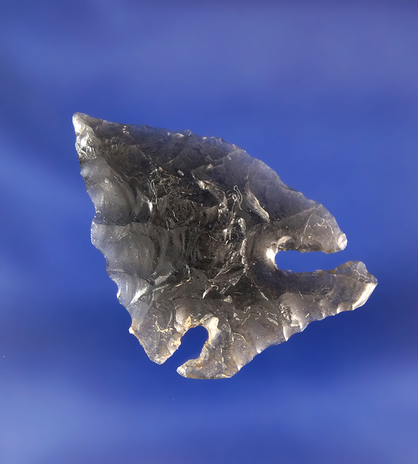 1 1/2" uniquely styled Elko Eared made from Obsidian.