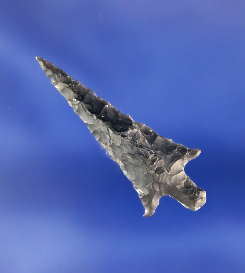 1 3/8" Rose Springs Stemmed in excellent condition with a needle tip - Fort Rock Oregon.