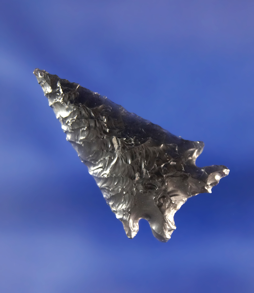 1 3/8" Obsidian Elko Eared found near Fort Rock Oregon.