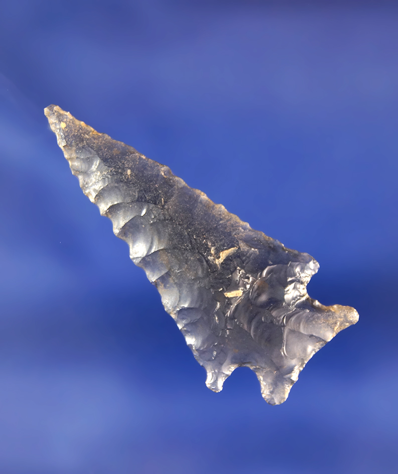 1 3/4" highly translucent Obsidian Elko found near Fort Rock, Oregon.