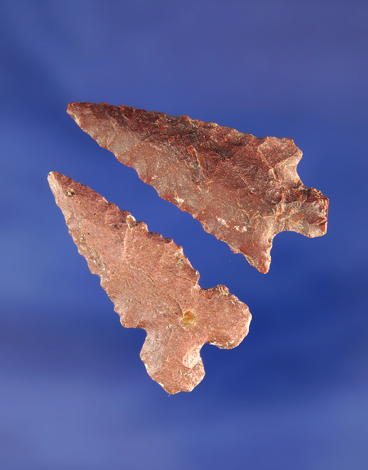 pair of arrowheads found in Oregon, largest is 1 3/8".