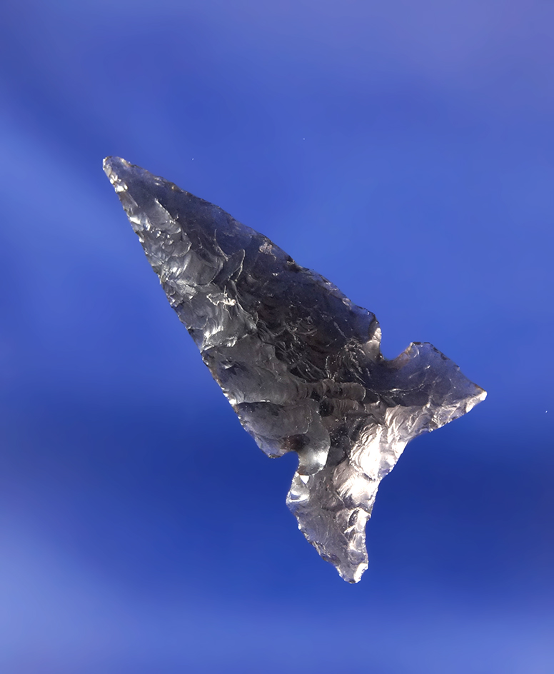 1 1/8" translucent Obsidian Desert Delta found in Oregon that is very well flaked.