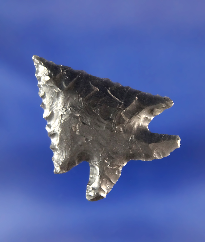 1 5/16" Elko Eared made from Obsidian in excellent condition. found near Fort Rock Oregon.