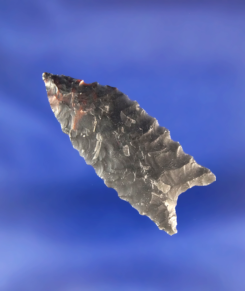 1 9/16" Humboldt with excellent flaking found near Fort Rock Oregon.