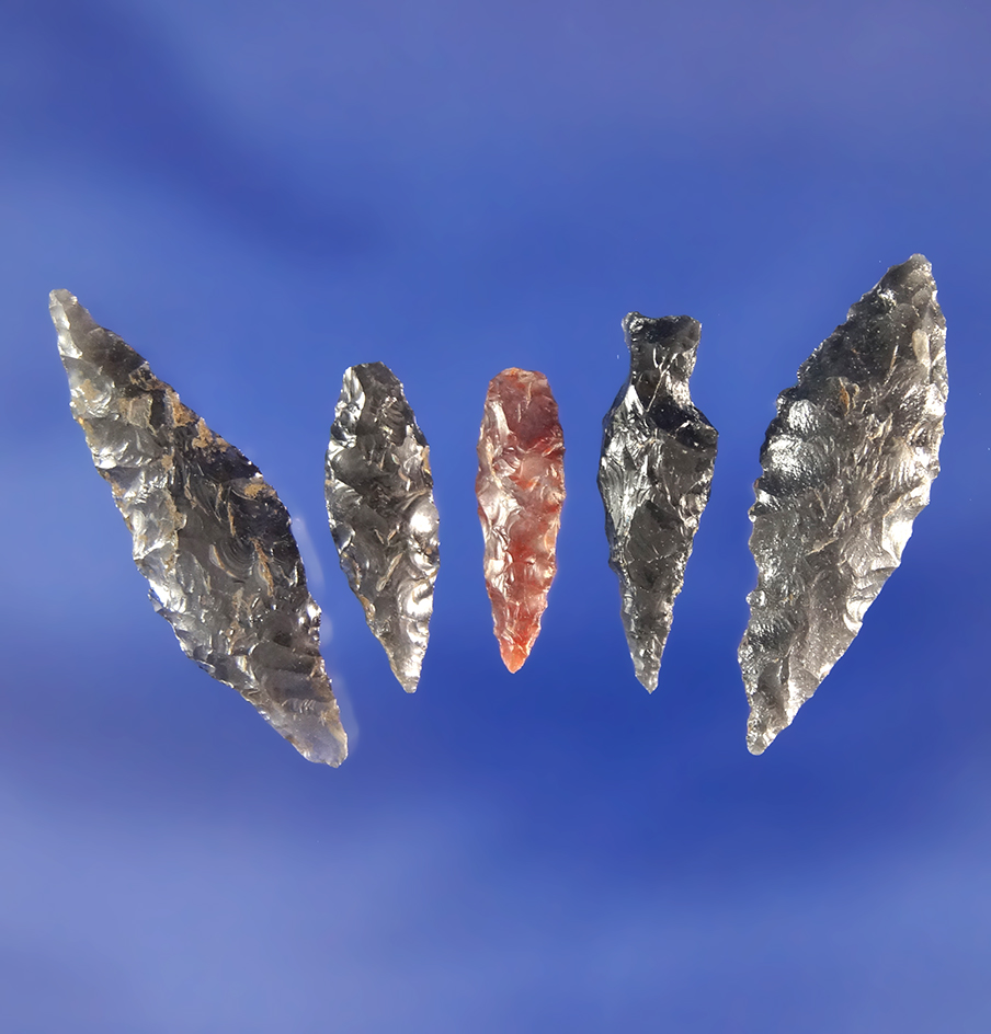 Set of five small Obsidian Arrow points, largest is 1".