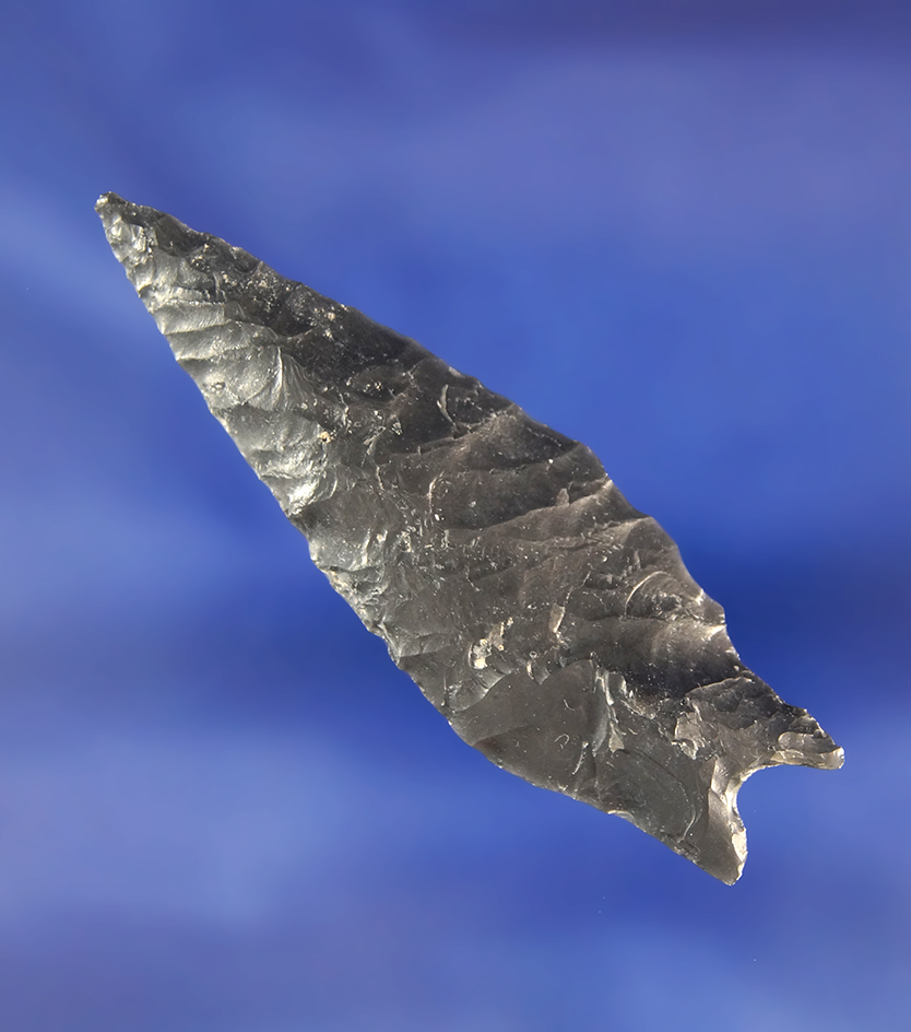 Uniquely styled in well flaked 2 5/16" Constricted Base made from Obsidian - Fort Rock, Oregon.