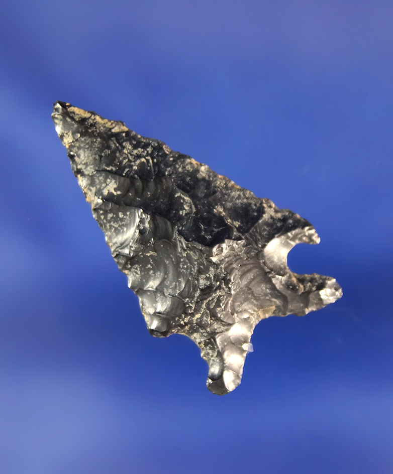 1 5/16" Obsidian Elko Eared found near Fort Rock, Oregon.