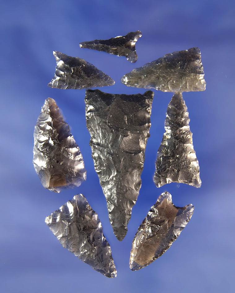 Set of eight Obsidian arrowheads found in the Great Basin region, largest is 1 13/16".