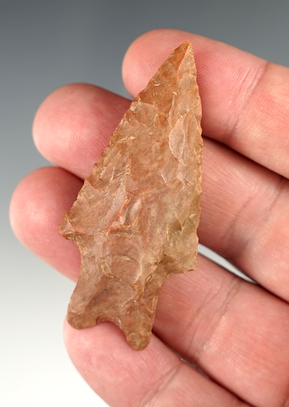 2 7/16" Stemmed point in nice condition.