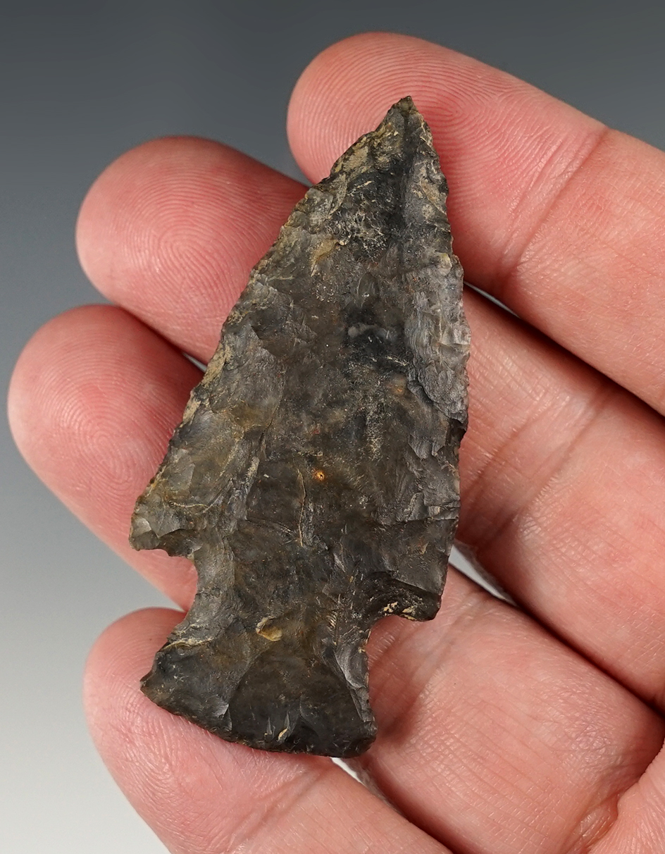 2 3/8" Hopewell - Huron Co., Ohio. Ex. Hooks.