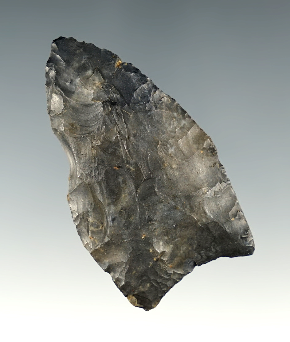 2 1/16" Nice Ohio Paleo Lanceolate.