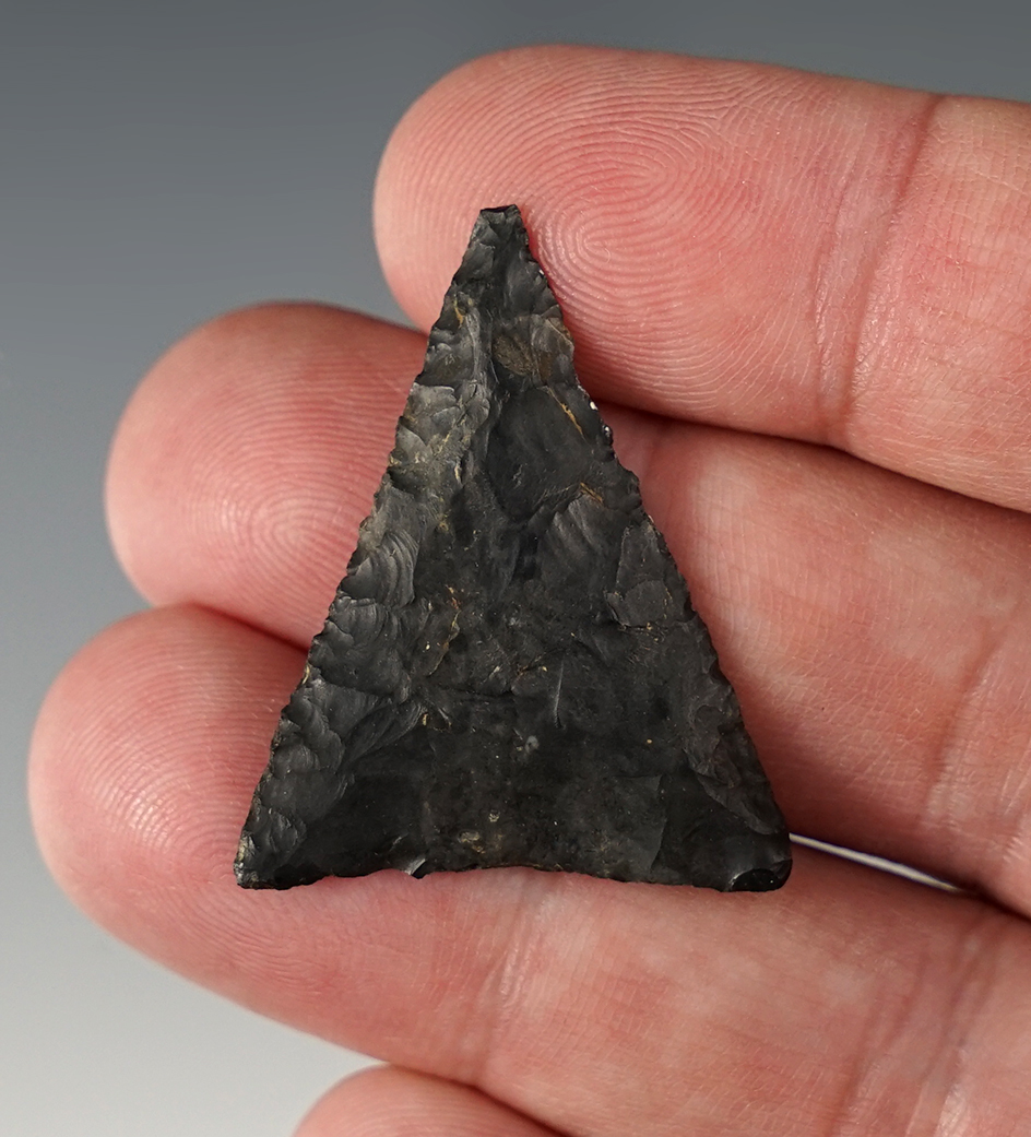 1 3/8" Triangle point - The Fuert Site, Scioto Co., Ohio.