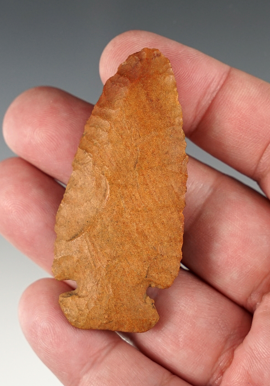 2 1/2" Carter Cave small base Dove. Southern Ohio.