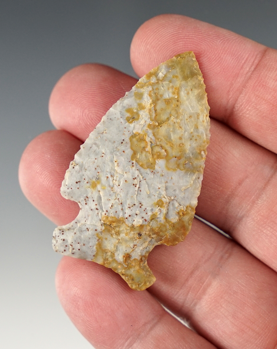 2 1/16" Archaic point - Knox Co., Ohio.