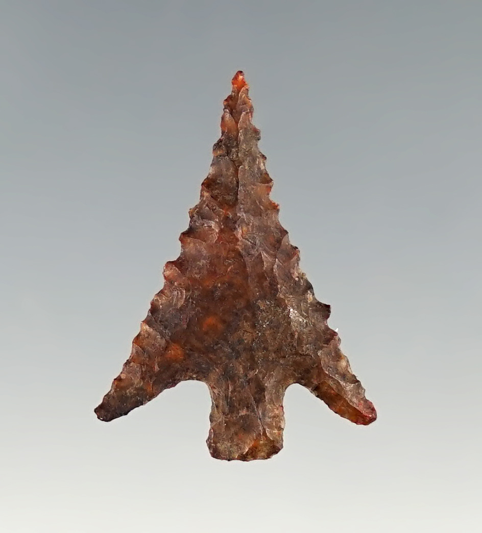 Nicely styled and serrated 1" Columbia Plateau - WA