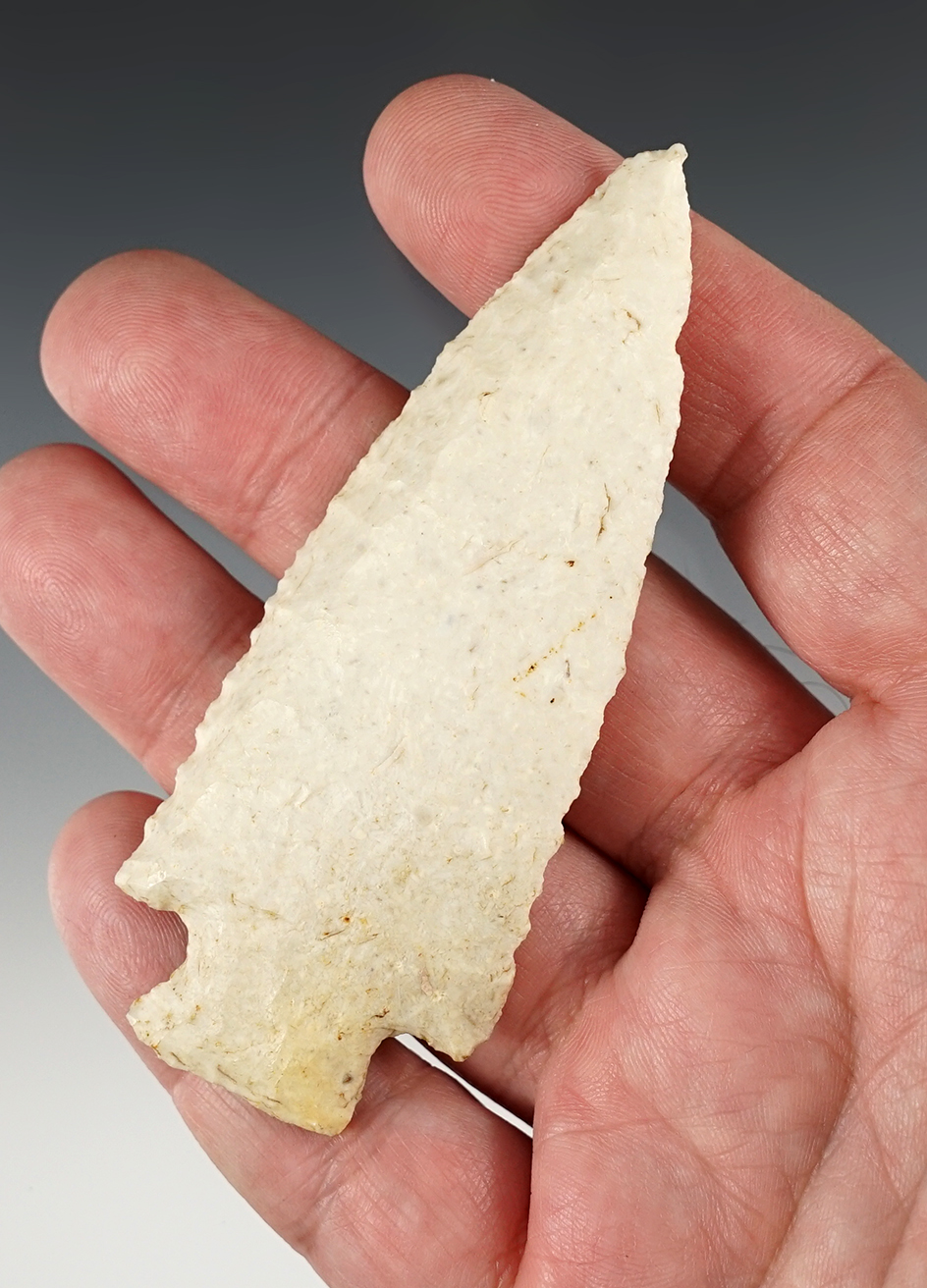 Beveled 3 9/16" Hardin - Midwestern U.S. Butler COA.