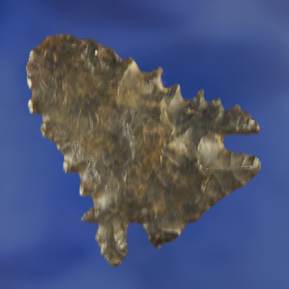 Killer serrations on this 1 3/4" Pinetree Point found in Ohio.