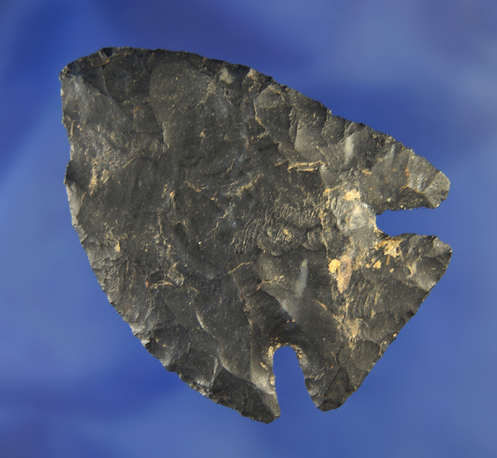 2 1/4" Coshocton Flint Cornernotch Knife found in Ohio.