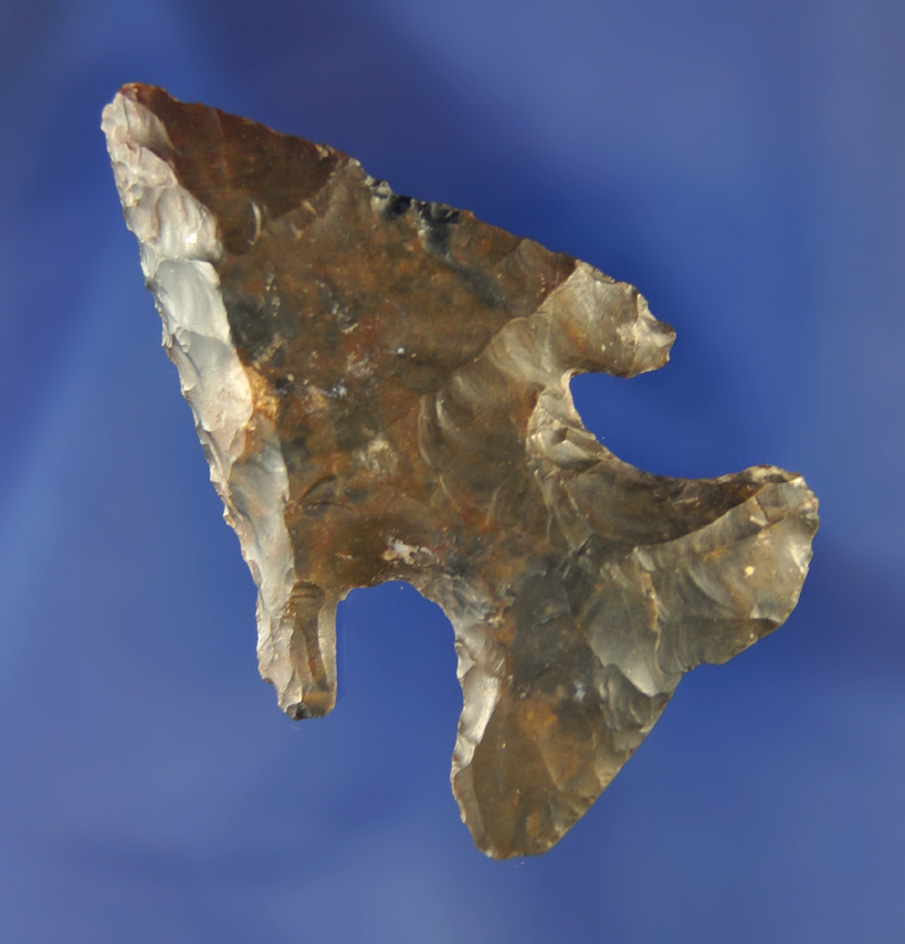 2 1/8" Archaic Bevel made from dark Upper Mercer Flint. Ex. Broadsword collection.