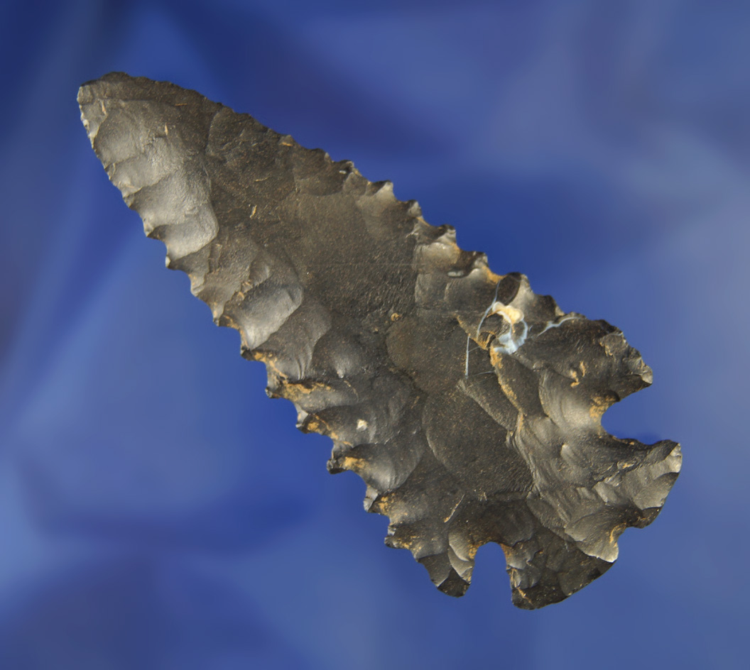 3 1/8" Notched Base Dovetail with excellent serrations - Richland Co.,  Ohio.