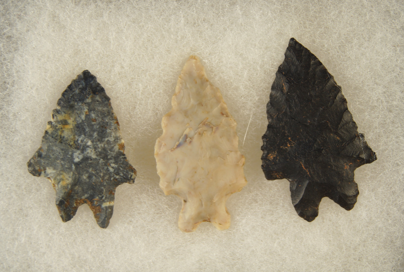 Set of 3 Ohio Lake Erie Bifurcates, largest is 1 5/8".