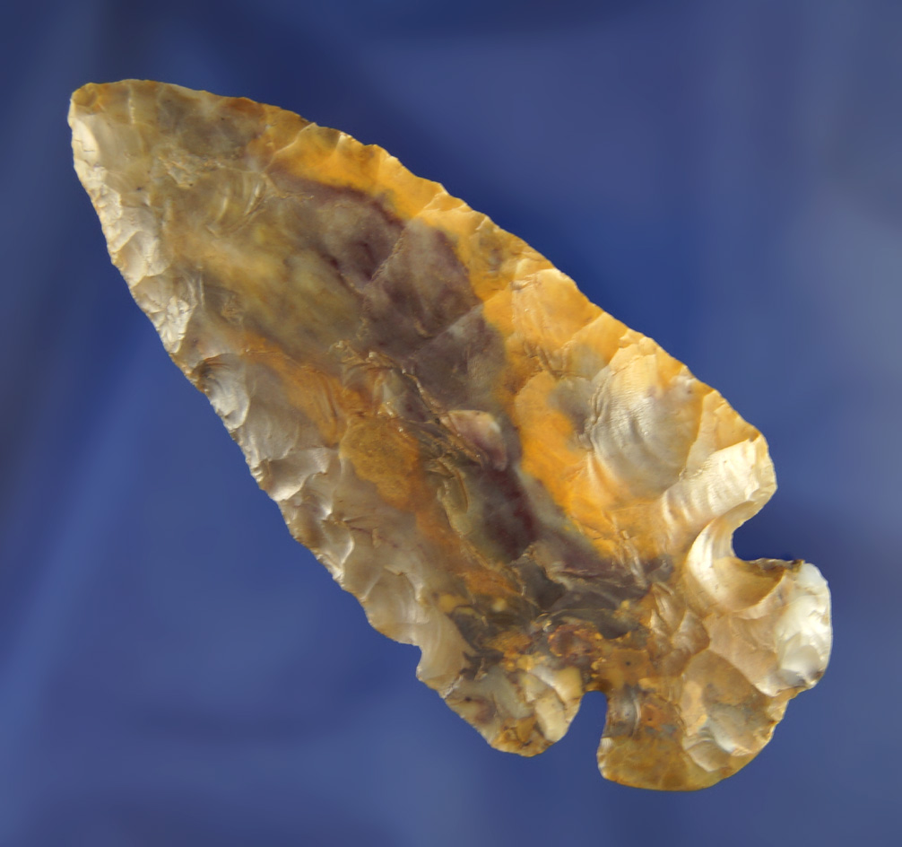 3 3/16" Multi-Colored Flint Ridge Dovetail found in Licking Co., Ohio.