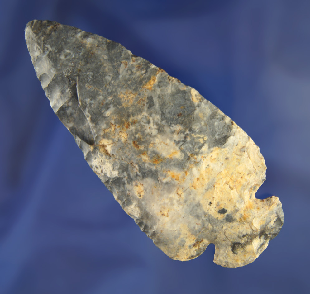 3 3/4" Blue and White Coshocton Dovetail found in Franklin Co., Ohio - nice old relic!