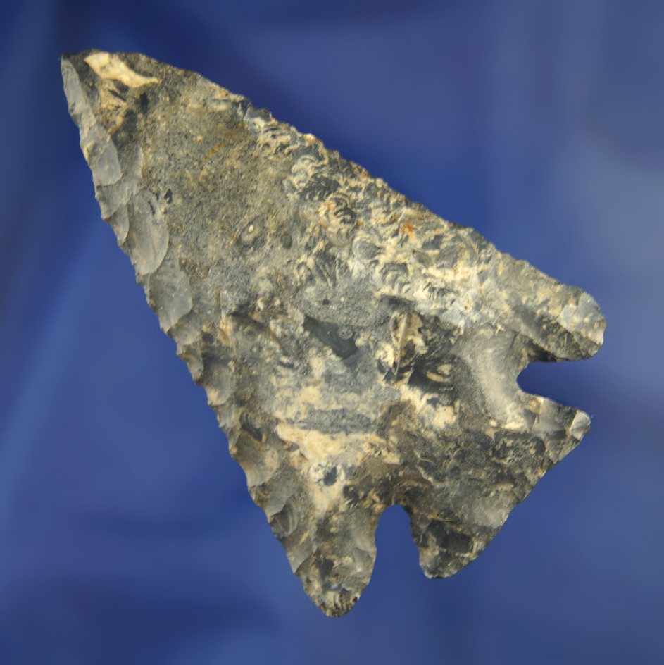 3" White-Blue Coshocton Diagonal Notch found in Coshocton Co., Ohio.
