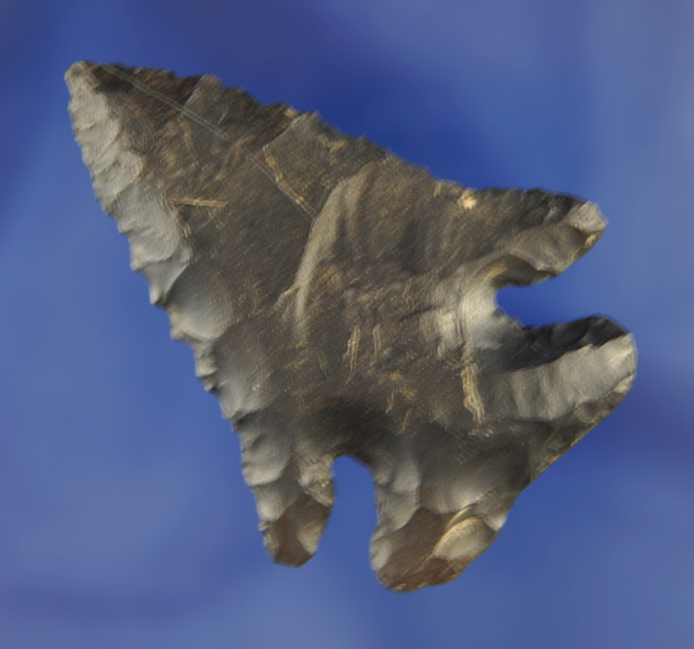 2 1/16" Archaic Thebes found in Stark Co., Ohio.