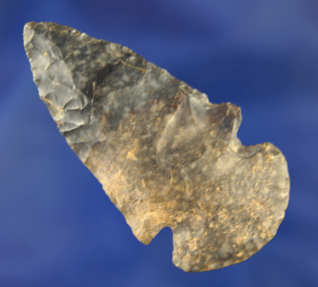 2 1/8" Coshocton Dovetail found in Columbiana Co., Ohio.