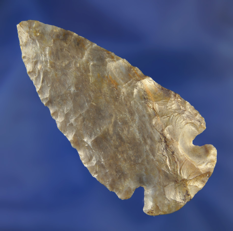 2 1/2" Multi-Colored Coshocton Gray Dovetail found in Fairfield Co., Ohio.