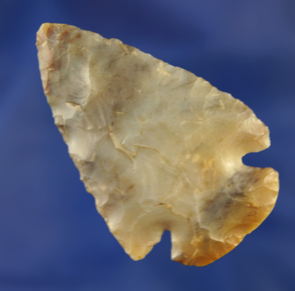 2 1/16" Flint Ridge Dovetail found in Crawford Co., Ohio.