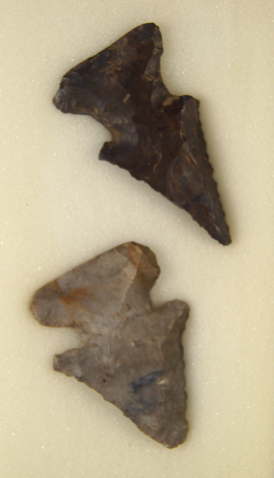 Pair of Coshocton Archaic Bevels, largest is 2 1/2". Found in Stark Co., Ohio.
