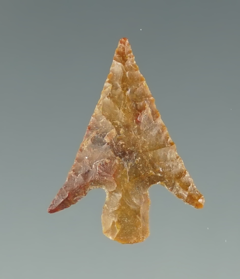 Fine 3/4" Columbia Plateau found near the Columbia River.