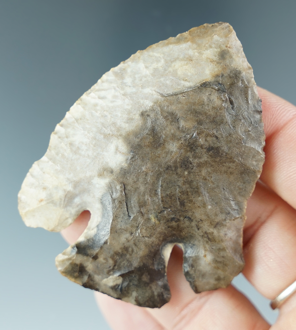 2 1/2" Multi-colored Lost Lake of Kentucky. Nice color matrix.