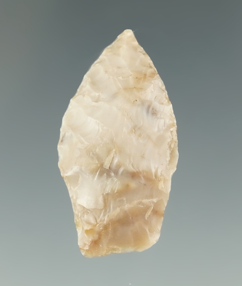 Classic style 1 5/16" Spedis Dart Point found near the Columbia River. Ex. Charles Hall.