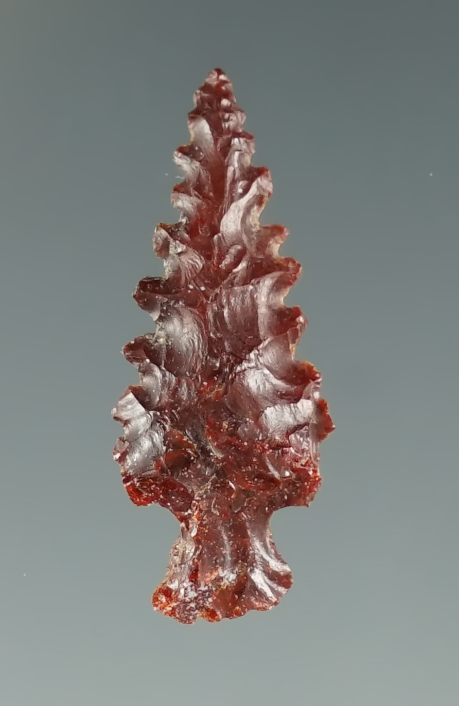 Excellent serrations on this 1" Columbia River Gempoint found near the Columbia River.