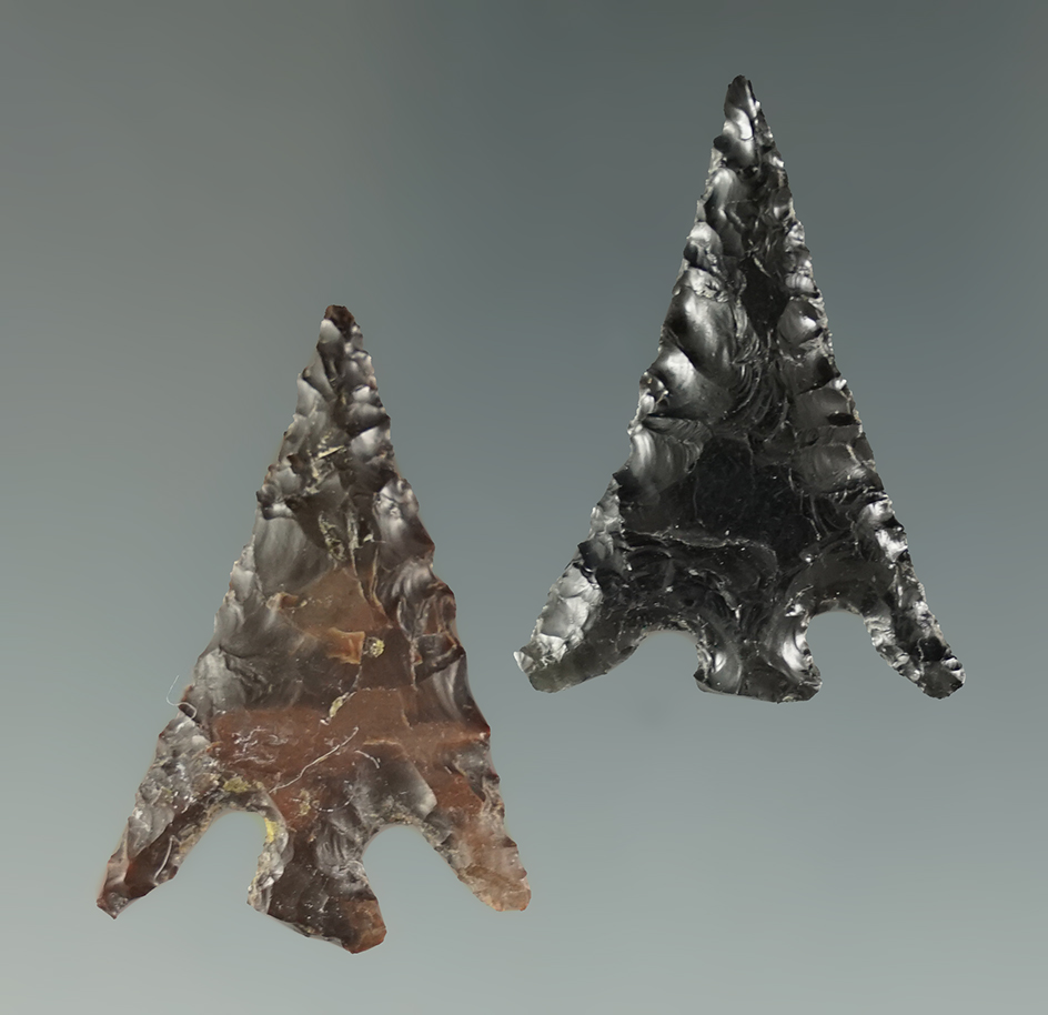 Pair of Columbia Plateau Points found in Malheur Co., Oregon. Both around 1 3/16".